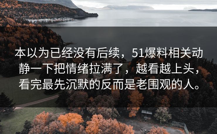 本以为已经没有后续，51爆料相关动静一下把情绪拉满了，越看越上头，看完最先沉默的反而是老围观的人。