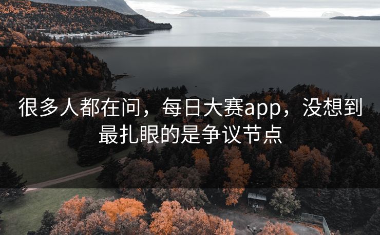 很多人都在问，每日大赛app，没想到最扎眼的是争议节点