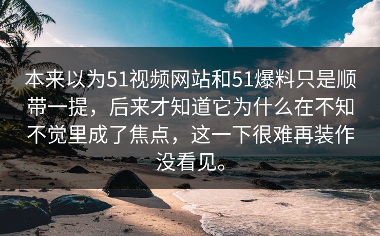 本来以为51视频网站和51爆料只是顺带一提，后来才知道它为什么在不知不觉里成了焦点，这一下很难再装作没看见。
