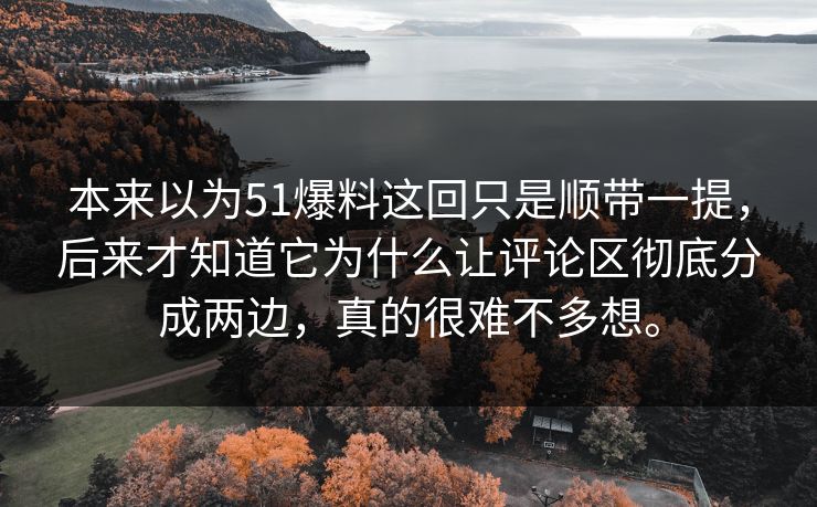 本来以为51爆料这回只是顺带一提，后来才知道它为什么让评论区彻底分成两边，真的很难不多想。