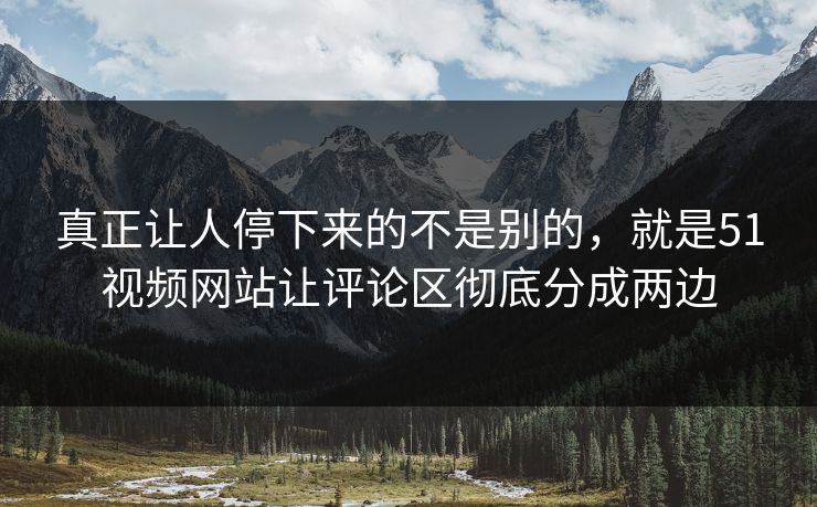 真正让人停下来的不是别的，就是51视频网站让评论区彻底分成两边